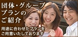 �c�̃v����